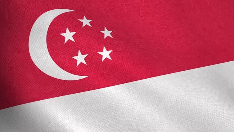 Статья миксер BTC mixer.money о налогах на криптовалюты. Флаг Сингапура