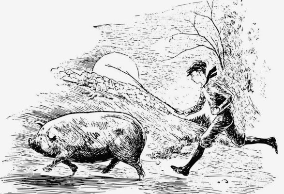 рипто мошенничество «Забой свиней». Обзор биткоин миксер mixer.money